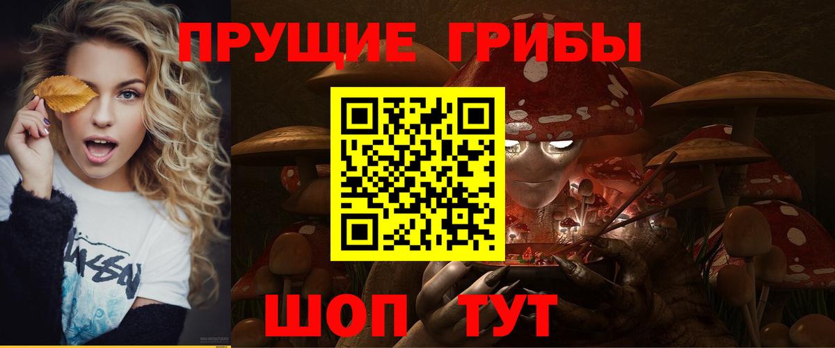 купить наркотики сайты  Вход с VPN  Ижевск  Галлюциногенные грибы GOLDEN TEACHER 